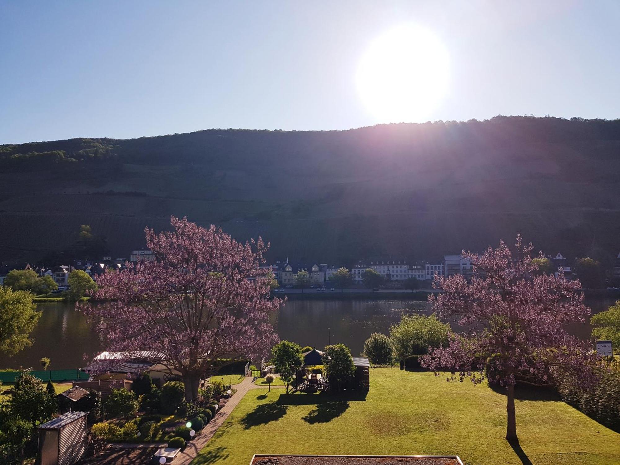 Apartmán Zum Blauglockenbaum Zell an der Mosel Exteriér fotografie